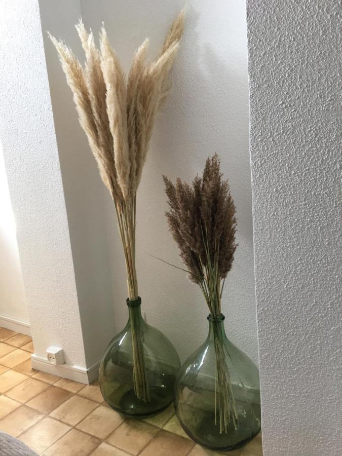 סן סיפריאן Cosy Lagune מראה חיצוני תמונה
